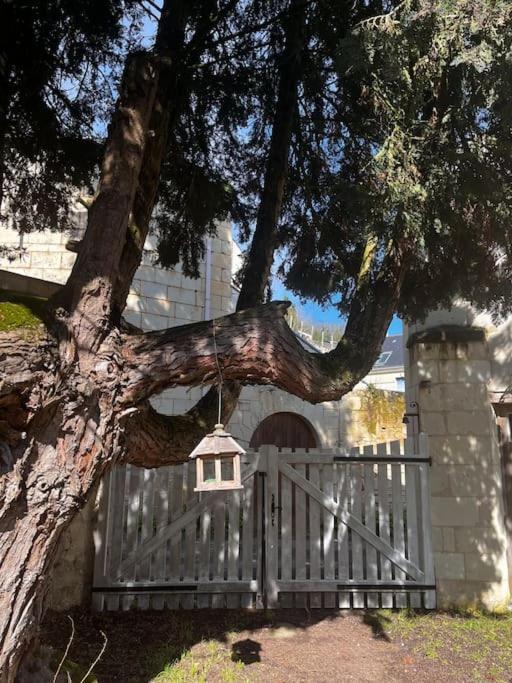 Le Relais De L'artiste * Turquant